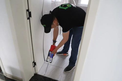 專業家政，品質保障——莒縣美家美邦，您的貼心保潔專家