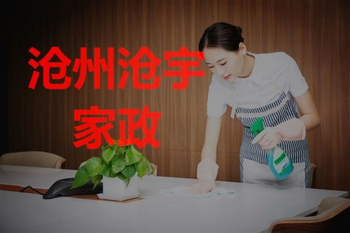 滄州搬家后房屋保潔指南 專業(yè)家政服務(wù)助您輕松安家